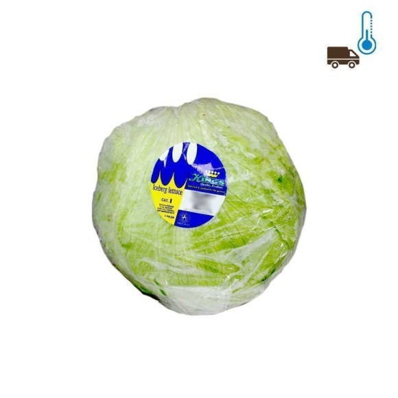 Lechuga iceberg x1/ Iceberg Lettuce Lechuga iceberg x1/ Iceberg Lettuce