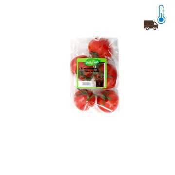 Daily Fresh Trostomaten 500gr/Unripe Tomato