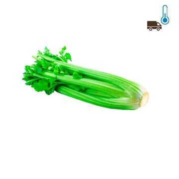 Agf Bleekselderij x1/ Green Celery