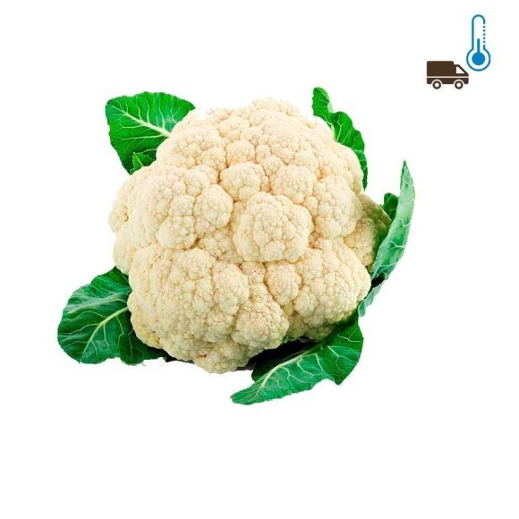 Coliflor Coliflor