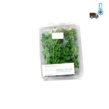 Perejil rizado x1/ Curly parsley